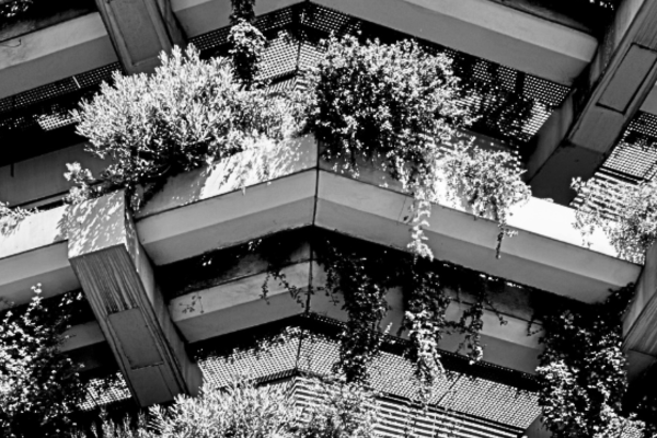 designing a sustainable future